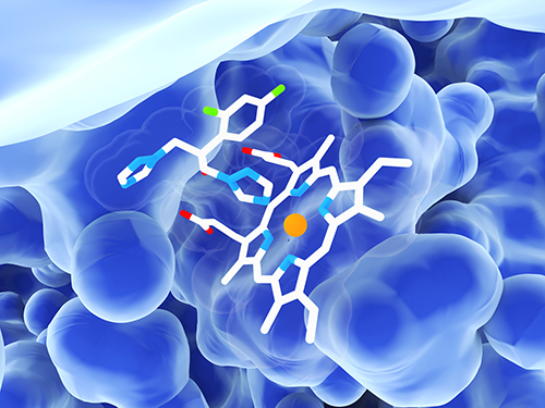 Advancements in Protein Acetylation Research